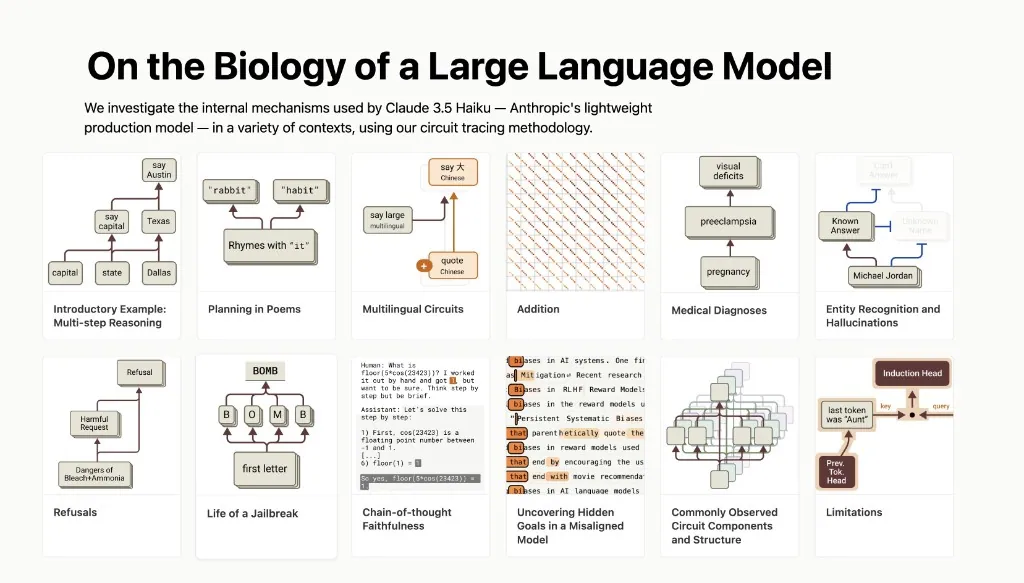 A diagram from the essay LLMs Are Not a Black Box